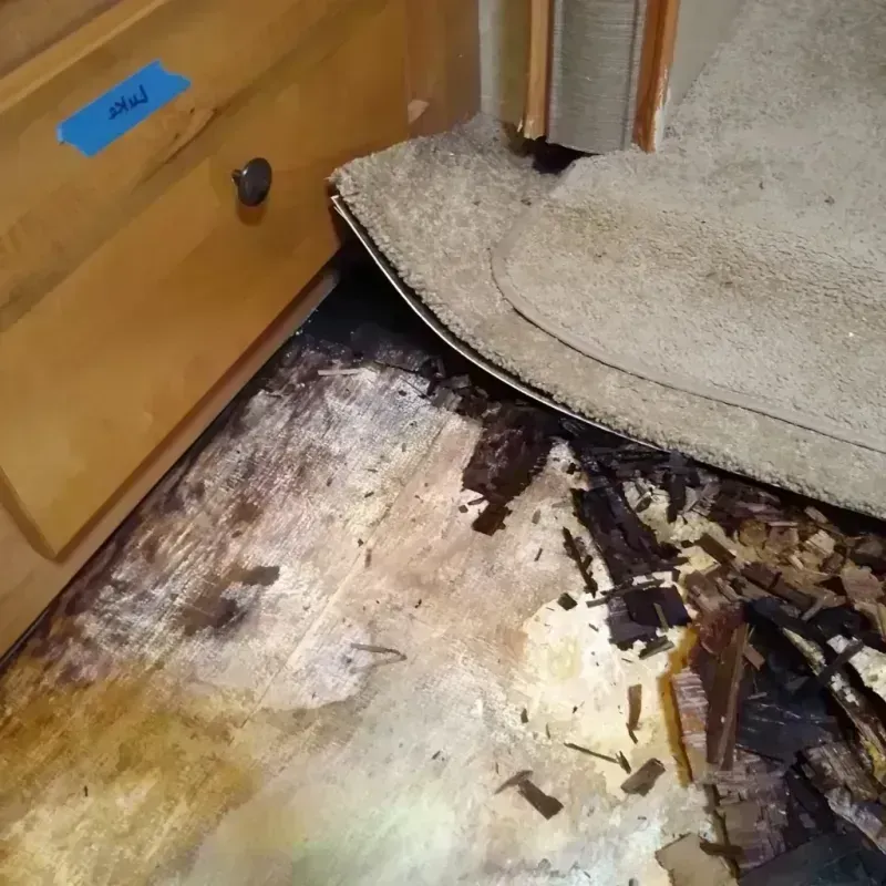 Wood Floor Water Damage in Victory Lakes, NJ